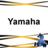Support de Plaque Moto Route YAMAHA