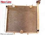 Radiateur NEW LINE 450 OUTLAW