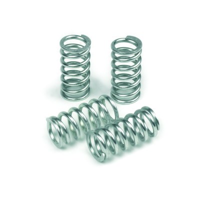 1060_trw_clutch_springs_001